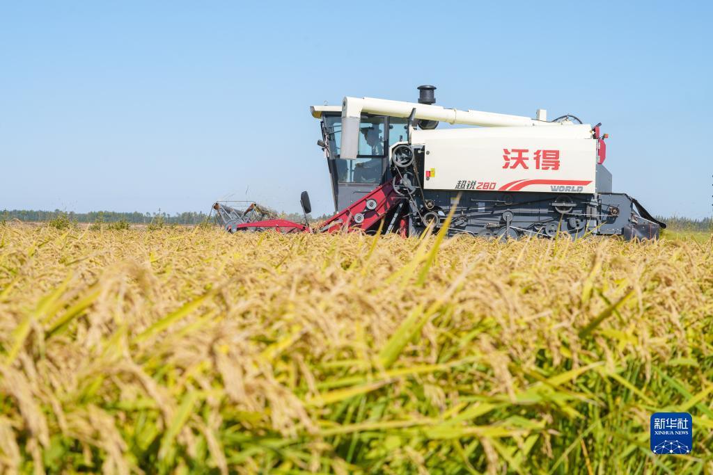 易乐游 我是皇